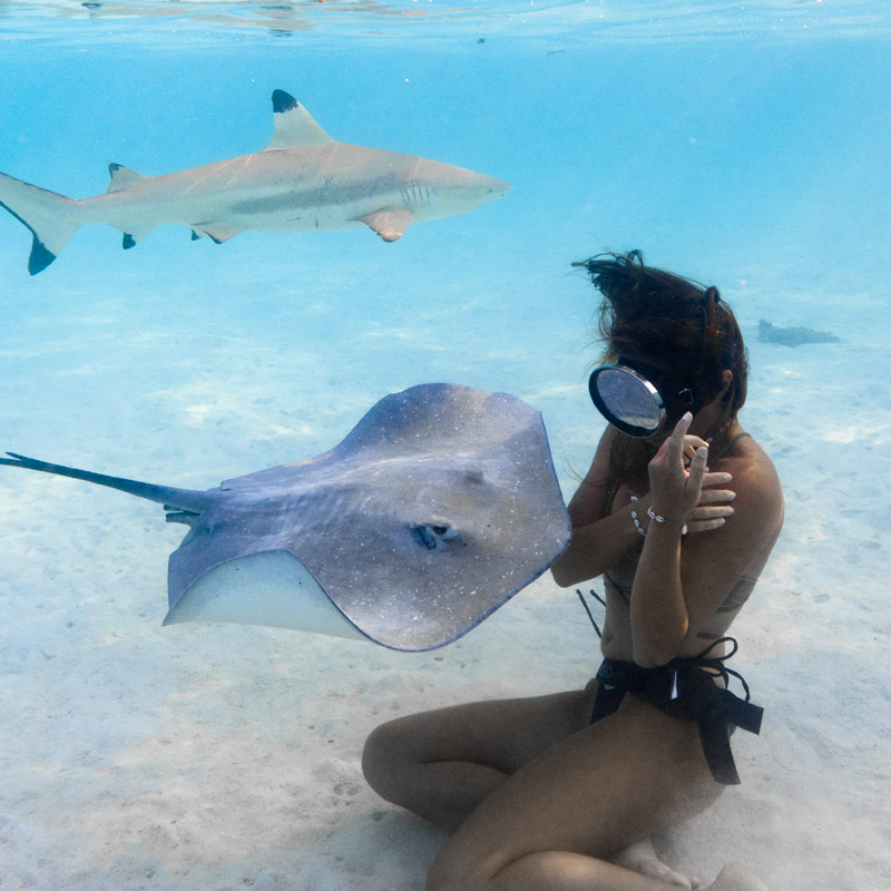 ninamu-oceanic-tour-tour-sunset-shooting